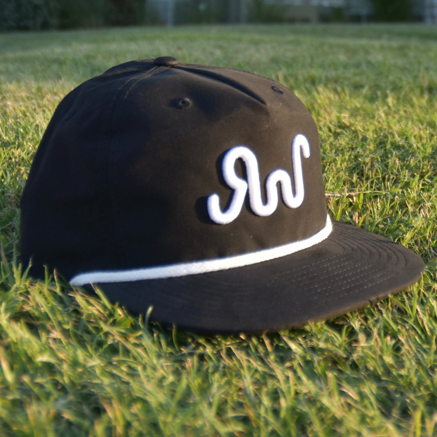 The 3D “Huckleberry”